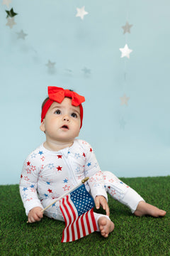 Star Spangled Nights Zippy