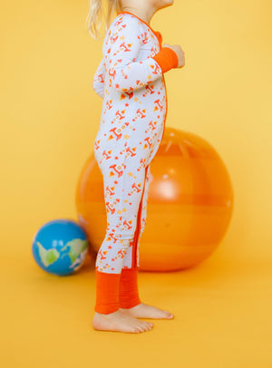 Rocket Mission Zippy