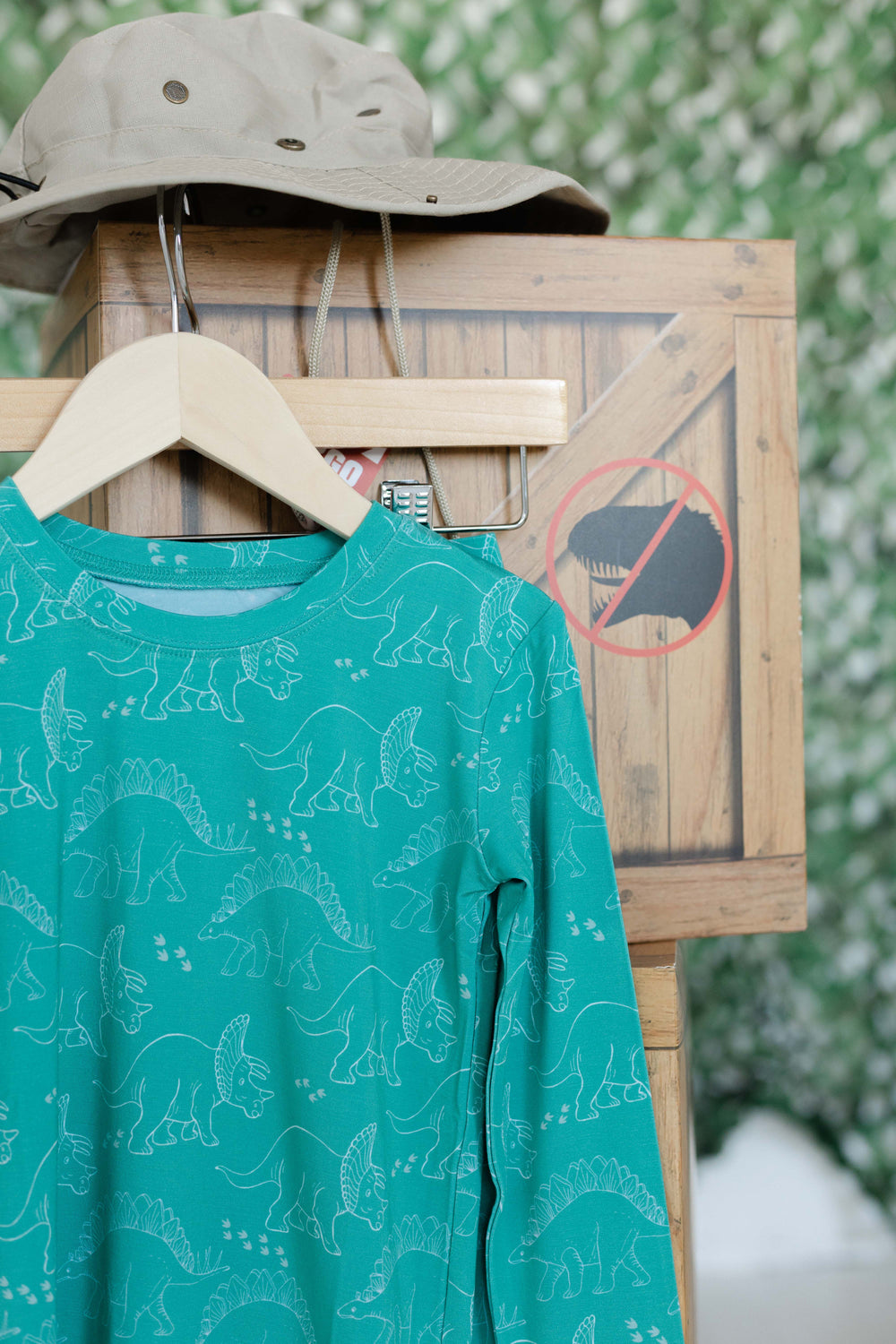 Dino Discovery Two Piece Set