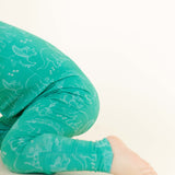 Dino Discovery Zippy