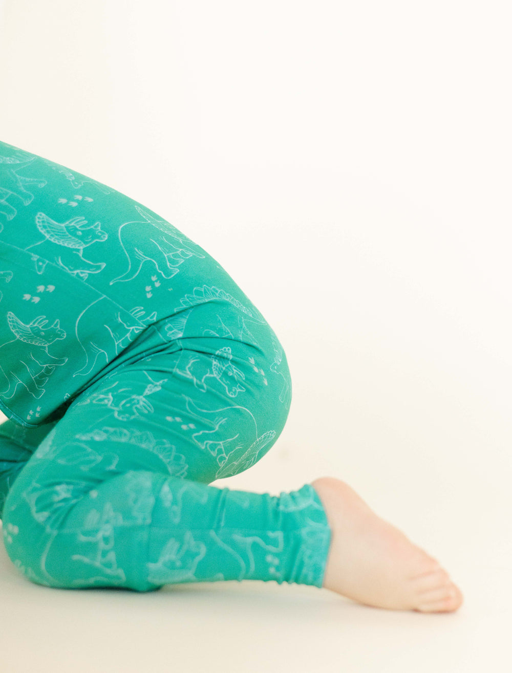 Dino Discovery Zippy
